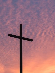 aaron-burden-233841-unsplash (1)