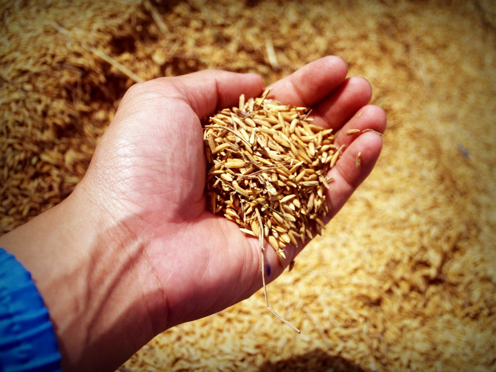 abundance agricultural agriculture arm