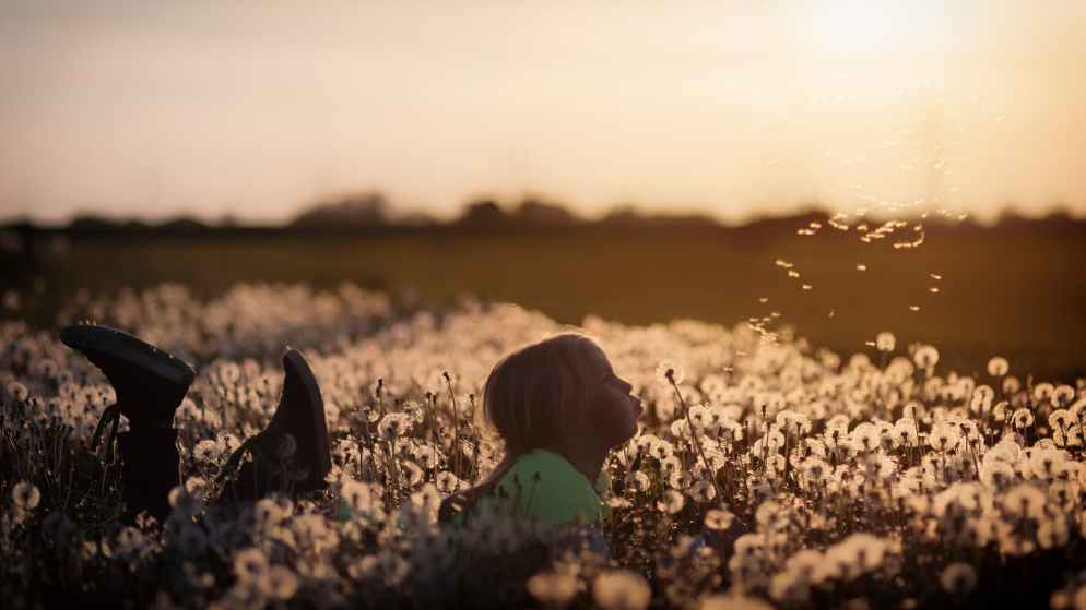 girl blowing a dandelion flower