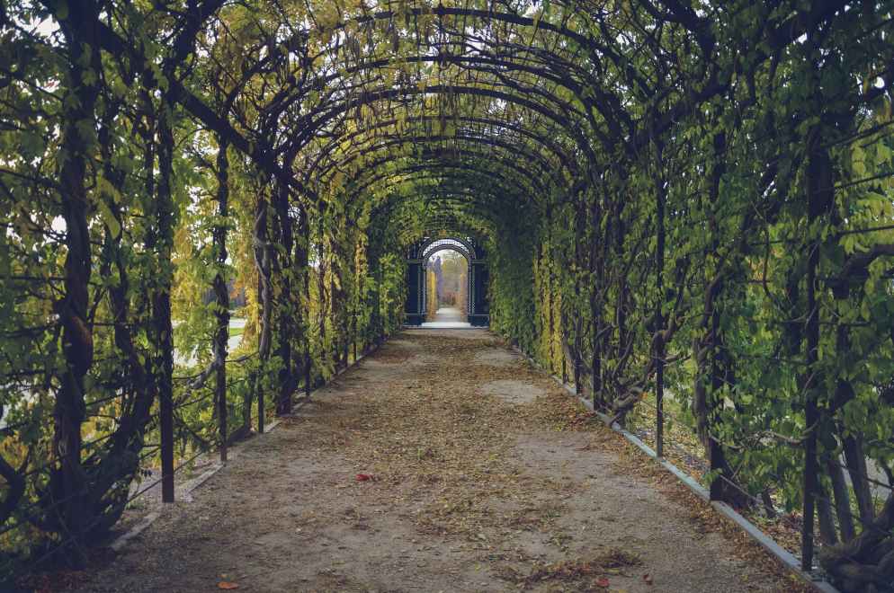 walking path way tunnel